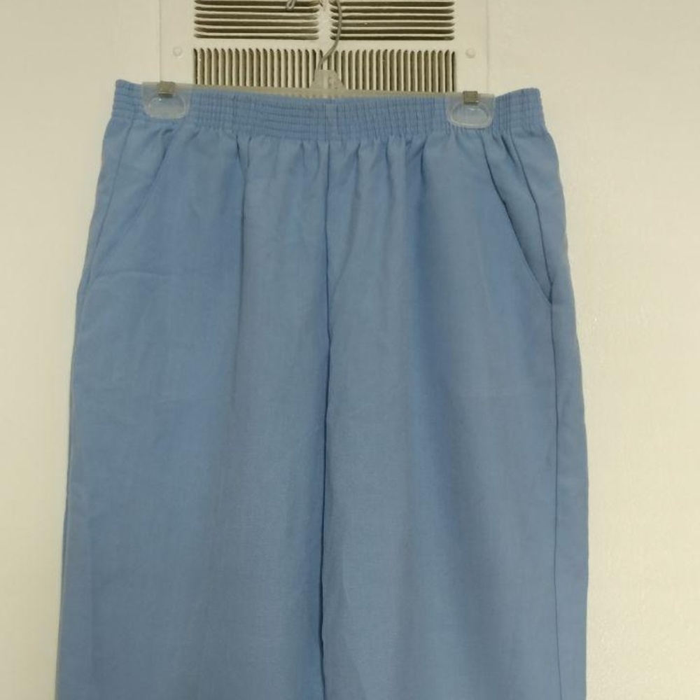 Briggs New York New Blue Capris Size: 14P